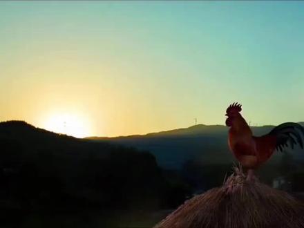 分享一首非常好听的蒙古歌曲《女人的命运》👧👩