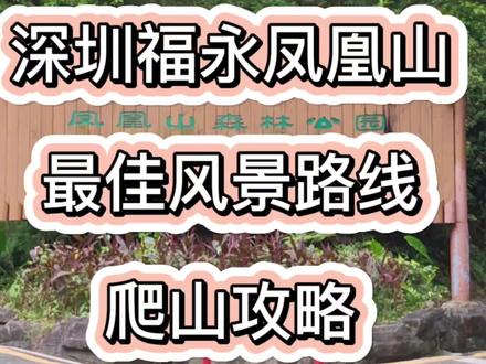 爬过凤凰山的朋友都不一定知道的路线 #凤凰山 #爬山 #vlog旅行记 #旅游攻略
