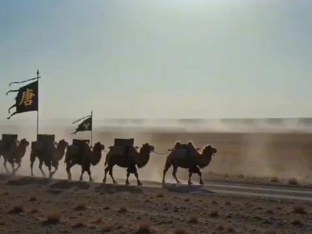 流金谷 一世鹰名,毁于伊弹#流金谷#央视动画 #流金谷