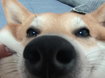 锐评减肥博主。
#锐评 #减肥 #运动 #减脂