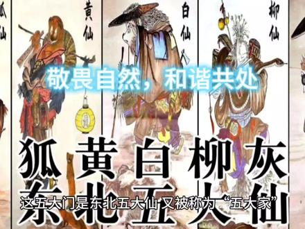 说说狐黄常蟒柳咋回事