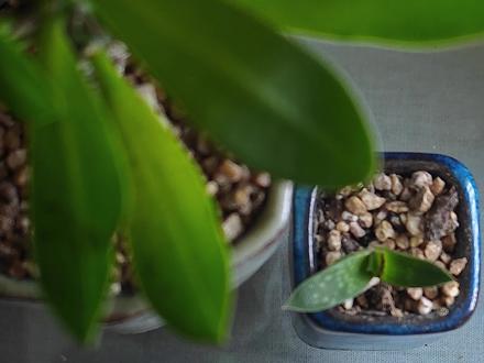 #每日一画 #简笔画 #手绘教程 #手绘
今日分享简笔画乌鸦一只
保姆级步骤一学就会