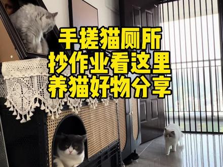 手搓猫厕所,等你们晒作业了#自制猫厕所 #猫厕所 #猫砂盆 #防漏砂猫砂盆