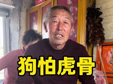 #猎人 狗闻到虎的骨头会跑,真的假的