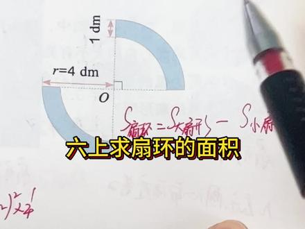 求扇环的面积#六年级数学 #阴影面积