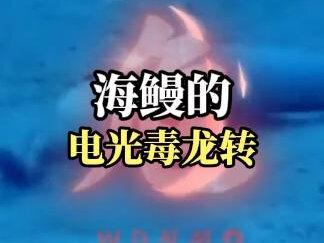 海鳗捕食博比特虫!
#神奇的动物在抖音 #海鳗 #海洋生物科普