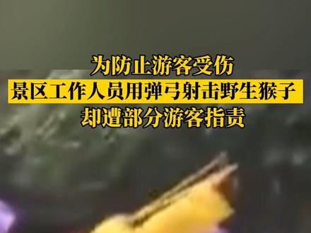 #景区工作人员用弹射工具驱赶猕猴,遭游客怒斥,你怎么看?