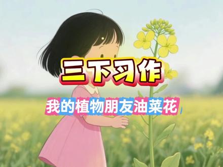 《我的植物朋友油菜花》#三年级 #三年级下册 #同步作文 #单元习作范文 #作文范文