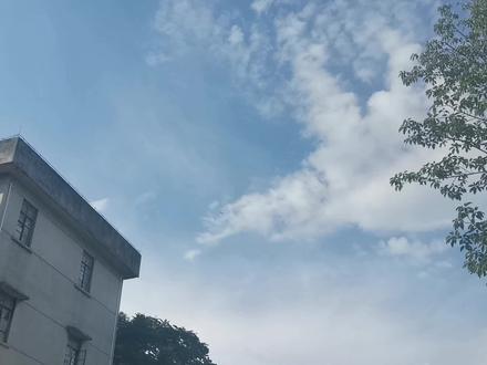 学卖猪肉第一步,老师傅教你挑好猪