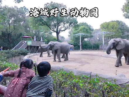 春天就是要多出去玩! #淹城动物园春游花招节 #动物园打卡 #江浙沪春日遛娃好去处 #常州春游必打卡