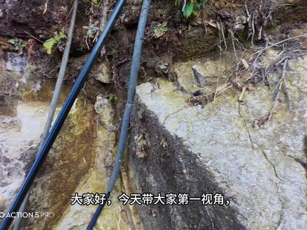 莽山飞拉达第一视角 #一镜到底 #我的旅行日记