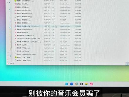 别被你的会员骗了——换个设备一首都放不了 #电脑技巧 #音乐格式转换 #音频格式转换 #电脑软件分享