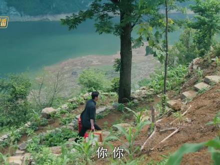 乌蒙深处第14集-12完