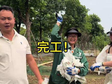 猛猛干!桑叶苗种下去鸡的辅食就解决了,谢谢@虫控哥 和满叔的帮忙#蛋小妹儿 #蛋白桑叶 #绿壳蛋 #大炮农场 #返乡创业新农人