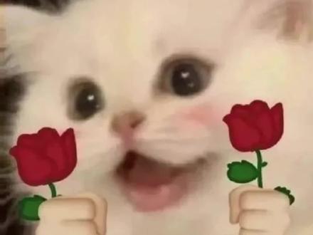 杨紫最新造型!真的美晕了!#我的花园世界 #玩游戏送真花