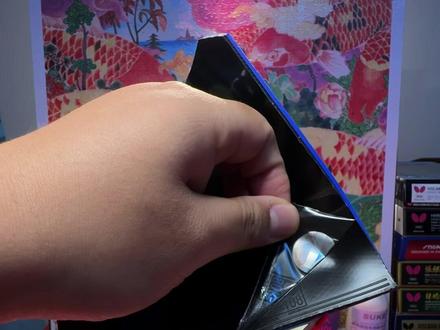 沉浸式原声粘拍:樊振东alc底板 正手:尼奥蓝省
反手:蝴蝶d09c
#乒乓球 #乒乓球拍 #樊振东 #樊振东alc #沉浸式解压