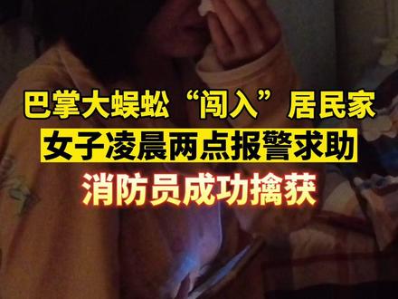 巴掌大蜈蚣“闯入”居民家,女子凌晨两点报警求助,消防员成功擒获!