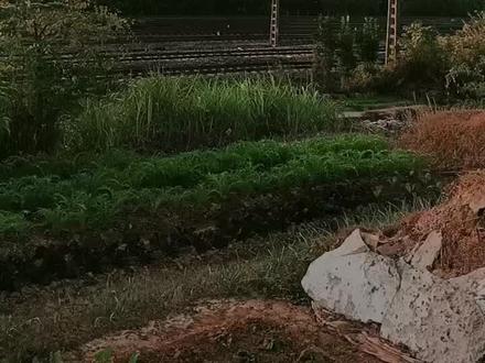 江西鹰潭跨铁路大桥华丽转身对接