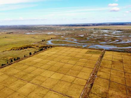 黑龙江最大的有头无尾内陆河,无人机航拍千回百转的乌裕尔河 #航拍家乡 #湿地 #风光摄影