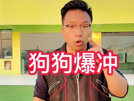 狗狗爆冲怎么解决?(上)#萌宠 #狗狗 #宠物训练 #训犬