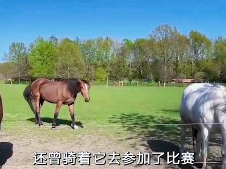 #沙特王子 #有钱人的世界 石油王国和酋长国两位王子那个更有钱呢