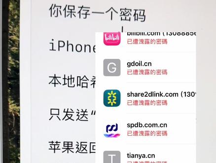 苹果手机密码泄露的原因? 一个视频 看完就懂, 我们无需过度担心和焦虑!! #苹果手机#果匠