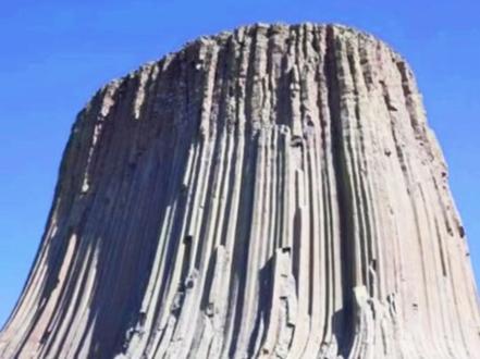 史前巨树🌲巨斧🪓🤔仅供娱乐😊#地球#巨人#巨树