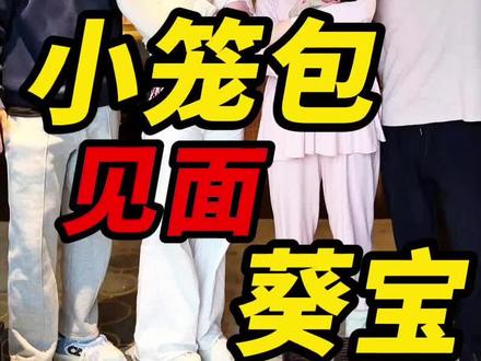 起初大家都认为让葵宝小心叶龙爽只是个笑话,没想到叶幸洲这小子真是天不怕地不怕#柯冉 #葵宝 #周楷恒 #识货种草官