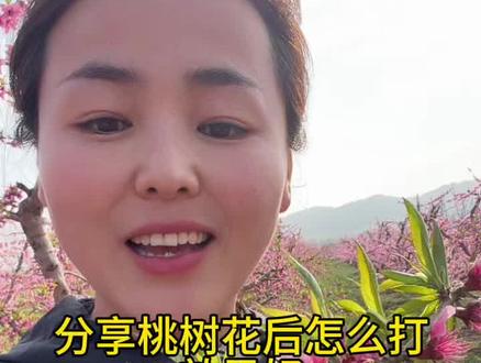 桃树花后药怎么打效果好 俺家明天给早桃打花后药了#分享农业知识帮农民增产增收 #分享农业植保技术知识传播正能量 #桃树管理