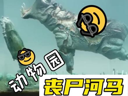 动物园的河马变异了,一夜就把隔壁的鳄鱼给团灭了。#手工 #制作过程 #手办 #微缩场景 #河马 #粘土 #搞笑视频