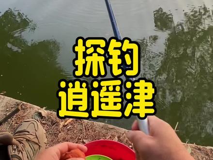 探钓逍遥津 #汉鼎卓越 #汉鼎真材实料放心入 #中逵钓鱼王30周年正青春 #爱生活爱钓鱼 @汉鼎官方旗舰店 @中逵创始人