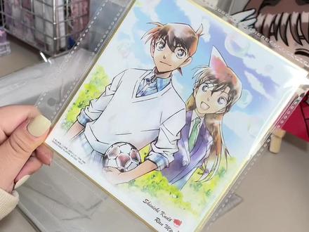 色纸收纳/内页#内页分享 #卡册 #新兰 #名侦探柯南