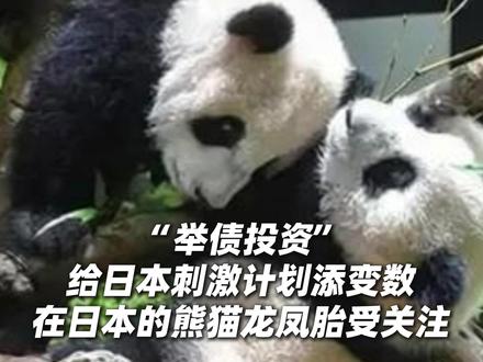 在日本的熊猫龙凤胎,受到高度关注! 据#日本 共同网23日报道,由于日本国内仅有的2只#大熊猫 将在明年2月回国,日本许多喜爱大熊猫的粉丝对此表示非常难过。试图支持民众消费,可能干扰市场稳定,“举债投资”给日本刺激计划添变数!多位专家指出,日本已几乎没有继续实施财政扩张的空间,此时推出大规模举债支出计划,时机并不恰当。这项以应对物价上涨为核心的一揽子经济政策整体规模达21.3万亿日元。#生活 #旅行 #厉害了我的国