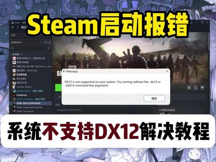 Steam运行游戏出现不支持dx12怎么办?怎么设置dx12 #steam游戏 #steam启动游戏 #steam启动时发生错误 #steam启动游戏没反应 #dx12