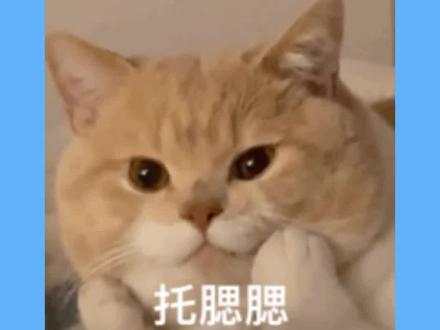 高考结束如何准确估分?#高考 #2023高考 #填报志愿 #高考估分 #填志愿