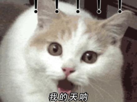 豆包逆天了呀#豆包app #ai工具 #ai生图 #ai视频