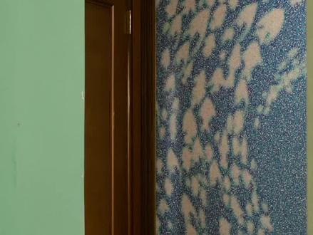 同居男女第二季#下饭剧 #粤语