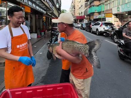 钓鱼交换汕头鱼丸省流版
