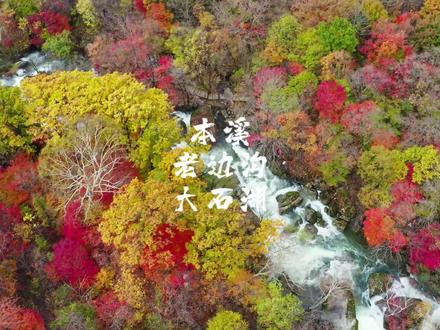 本溪的秋天到底有多美?
老边沟风景区枫叶最佳观赏期:2023年9月25日至10月下旬
🍁大石湖、老边沟风景区枫叶特点:
(1) 先天性的地缘优势,坐落在中华枫叶之路上。
(2) 枫叶观赏面积大,品种多,风景区内80%是红叶树种。
(3) 枫叶持续时间长:风景区枫叶红得最早,持续时间最长,落得最晚。
(4)这点需要重点强调:老边沟风景区的冰封谷游览区(区别于景区内其他区域)每年的10月10日至15日枫叶才刚刚开始变红。赏枫期可延续到10月25日左右,是辽宁乃至全东北唯一在10月下旬仍然可以观赏红叶的地方,我们称之为“后枫叶时代“。
🍁两个景区的区别和看点(秋季)
1.总体来说:大石湖/老边沟两个景区都属于中华枫叶之路上的重要赏枫地,整体枫叶的观赏面积更大,枫叶种类多,赏枫期更长,虽然两个景区距离只有几分钟车程,但是特点截然不同。
2. 秀美老边沟:对比大石湖的神奇,老边沟更加秀丽一些,游客门可以沿着山间河道两侧行走,可以观赏到石板路、木栈道配合山间巨石映衬下的成片枫树。
3. 神奇大石湖:水系发达,湖泊及瀑布群众多,湖中鱼群数不胜数,整体的游览视野更加开阔,特殊地质构造下天然形成的五湖四瀑是核心观赏区,赏枫期内可以看到平静的湖面以及诸多瀑布群映衬下的艳丽的枫叶林。
4.总结:游览大石湖像是在看一幅画,而游览老边沟更像是置身画中游,因此两个景区神奇、秀美所带来的感受是完全不同的。
#本溪#赏红叶 #本溪旅游攻略 #趁国庆任性出发尽兴山海#一起来拍秋天🍁大石湖、