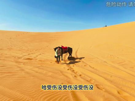 马不愿意出门调训《四》,给我整没力气了#驯马 #马匹调训 #沙漠风景 #vlog日常 #上热搜