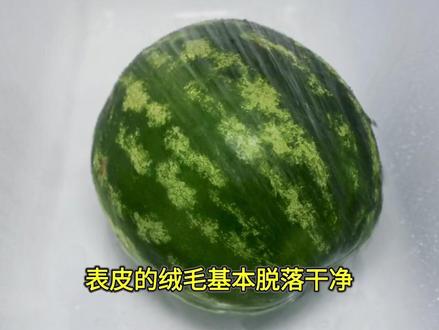 打激素的西瓜如何区分?老瓜农教你一招,学会了老板不敢忽悠你