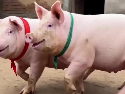 #AI放鞭炮炸铁盆 #随变ai随便玩 #随变放炮炸出一个小可爱 #火山引擎ai让年味儿更浓了