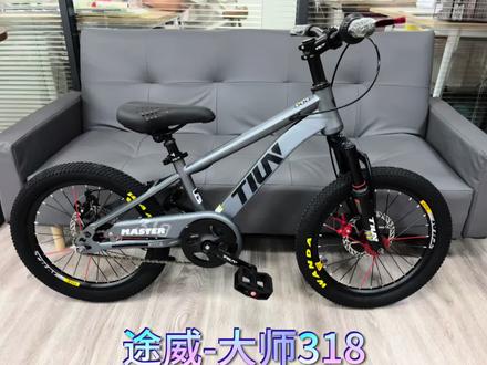 途威自行车 此生必驾318