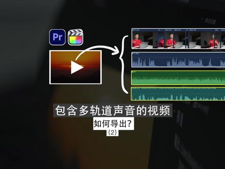 如何导出包含独立音轨音的视频?#剪辑 #剪辑教程#fcpx教程