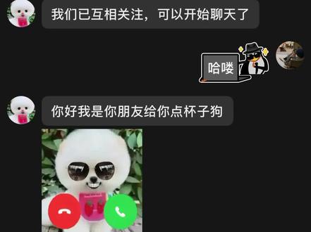 谁点的杯子狗!#杯子狗#搞笑聊天记录 #狗 #杯子控 #猎奇