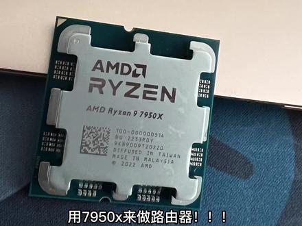 AMD7950x做路由器接管你的家庭网络网速起飞 软路由 esxi8.0#电脑 #网速 #宽带 #下载 #测速#esxi #vmware