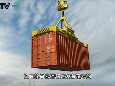 #危险品出口 #上海港 危险品出口详细流程