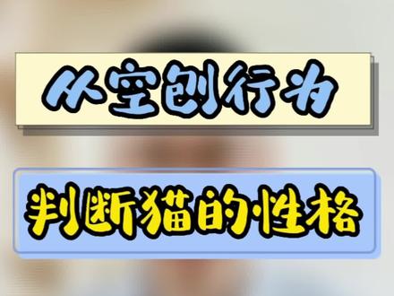 从空刨行为,来判断猫的性格特点以及家庭地位#养猫养猫 #猫咪的迷惑行为