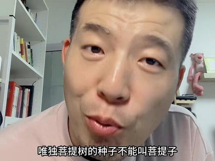 盘点市场上出现的各种菩提子,菩提子是什么树的种子#文玩 #菩提手串 #文玩科普 #十八籽手串 #万物皆可盘