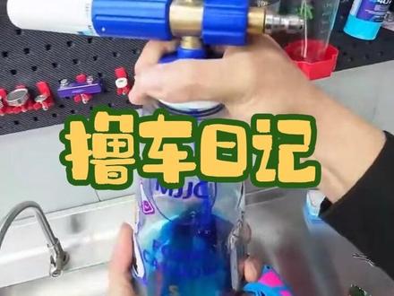 洗车佬的快乐,比亚迪海豚版来了#撸车日常 #自己洗车也是一种享受 #怪兽撸车 #洗车日常 #汽车那点事儿